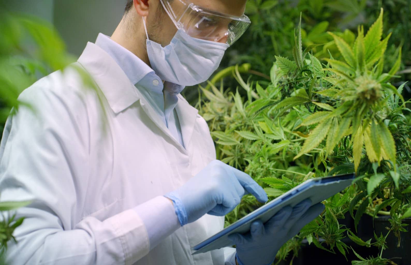 working doctor photo